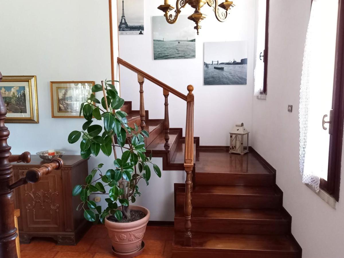 B & B Cedro Argentato Legnago Exterior foto